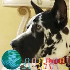 Meet your Posher, Thay